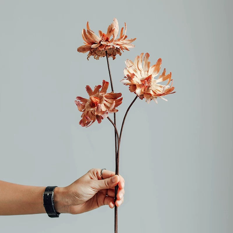 Natural Phoenix Dried Flower Bouquet