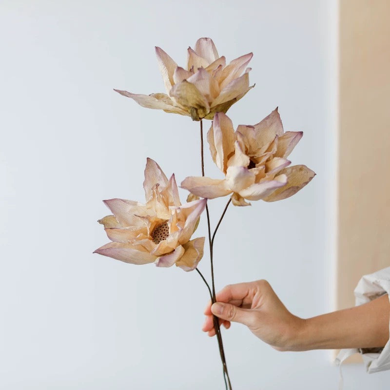 Natural Dried Lotus Flower Bouquet