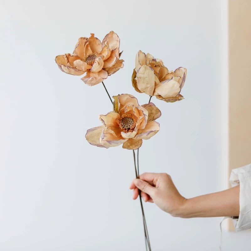 Natural Dried Lotus Flower Bouquet