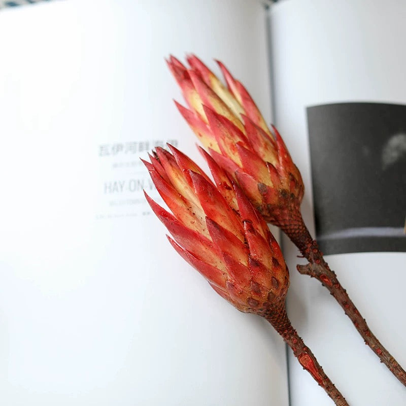 African Snowdrops Dried Bouquet