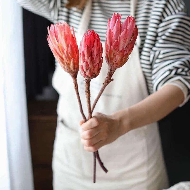 African Snowdrops Dried Bouquet