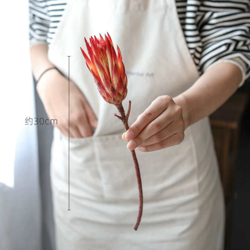 African Snowdrops Dried Bouquet