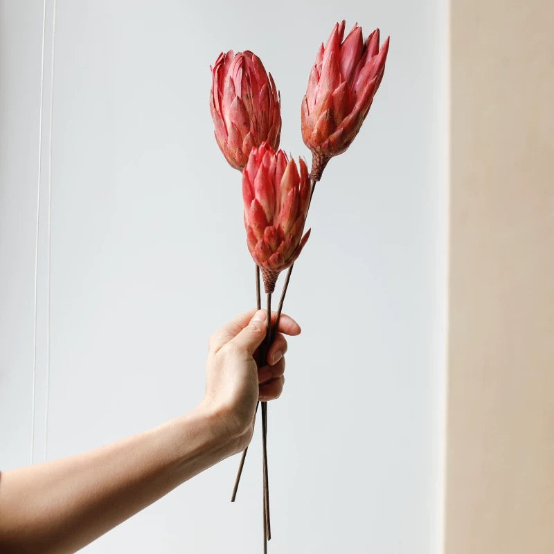 African Snowdrops Dried Bouquet