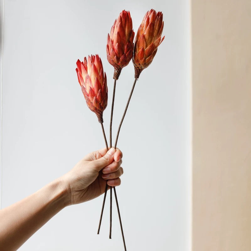 African Snowdrops Dried Bouquet