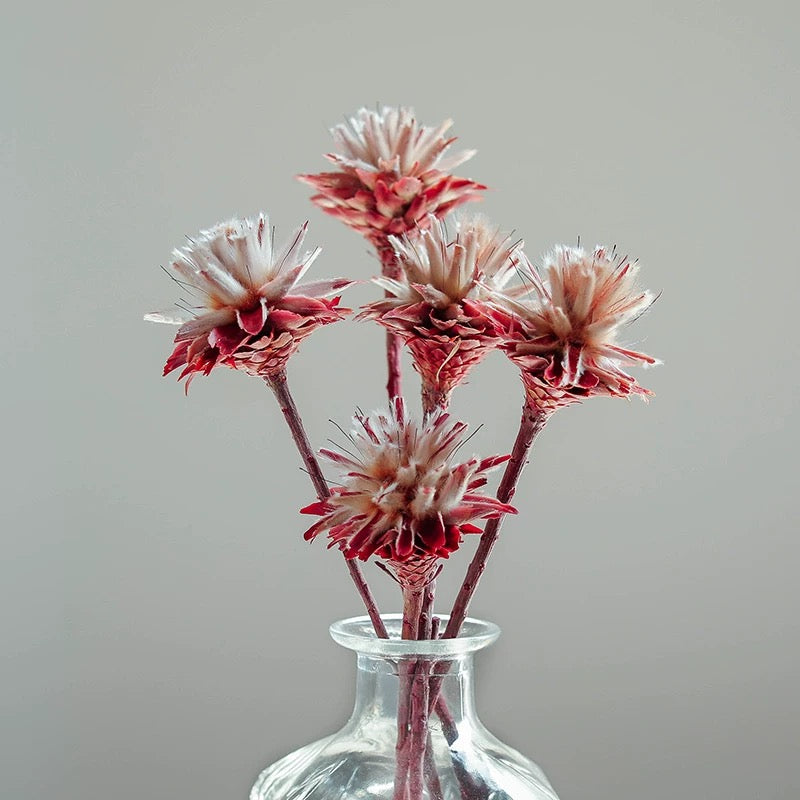 Natural Feather Chrysanthemum Dried Bouquet