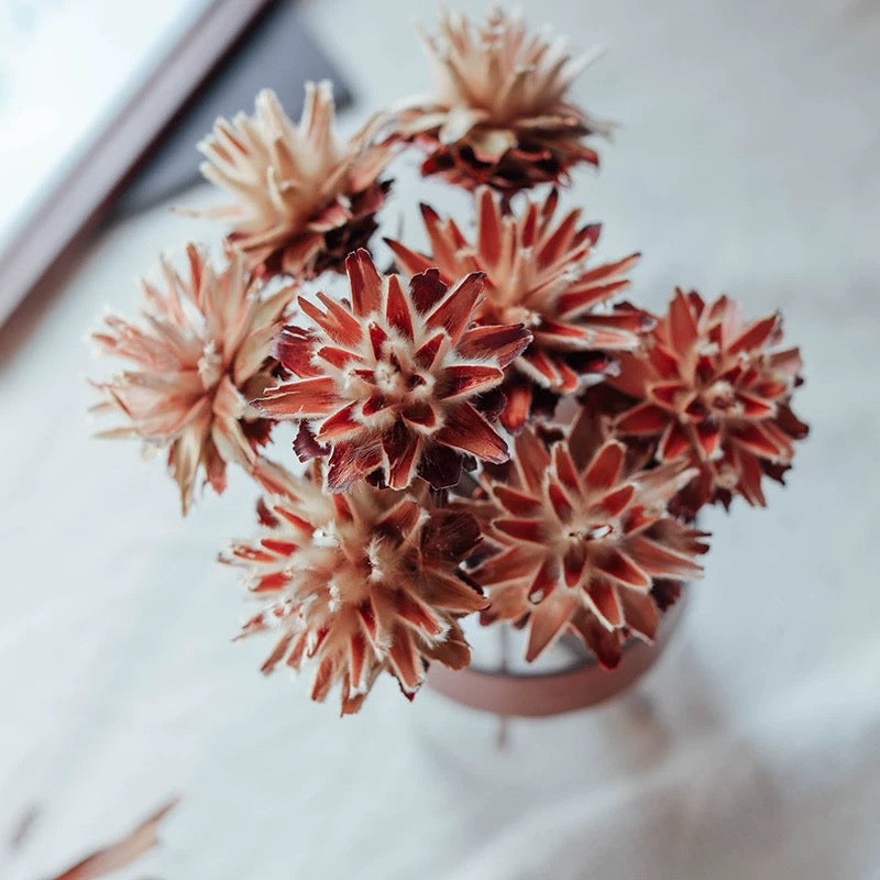 Natural Feather Chrysanthemum Dried Bouquet