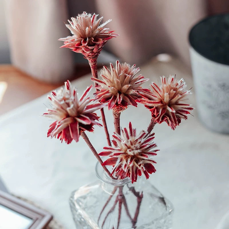 Natural Feather Chrysanthemum Dried Bouquet