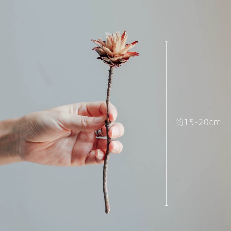 Natural Feather Chrysanthemum Dried Bouquet