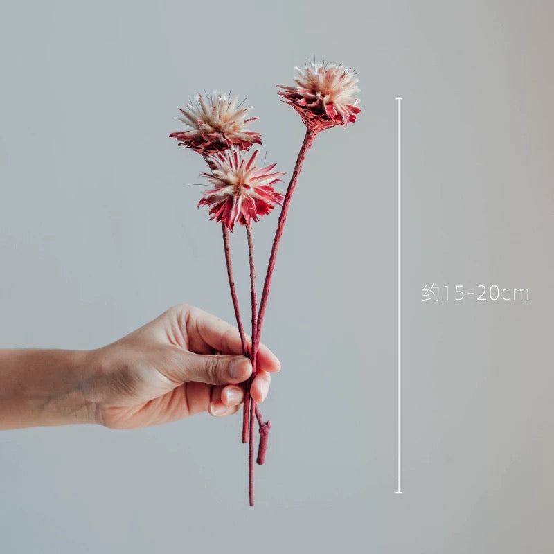 Natural Feather Chrysanthemum Dried Bouquet