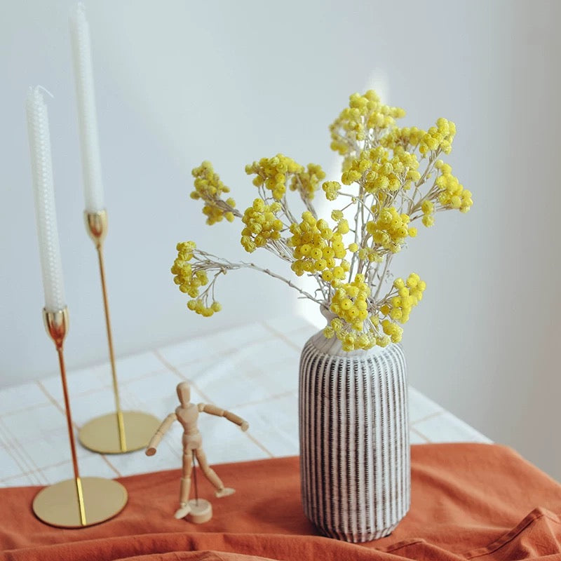 Yellow Wax Daisies