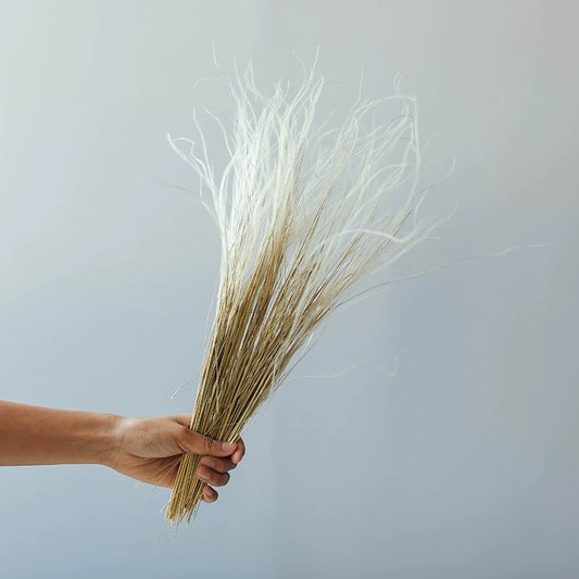 Mexican Feather Grass Dried Flowers