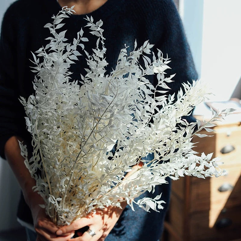 Dried Eucalyptus Leaves