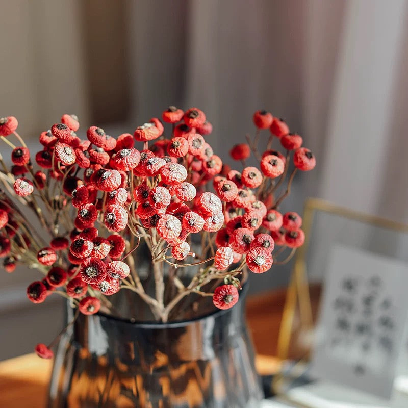 Dried rosehip flower