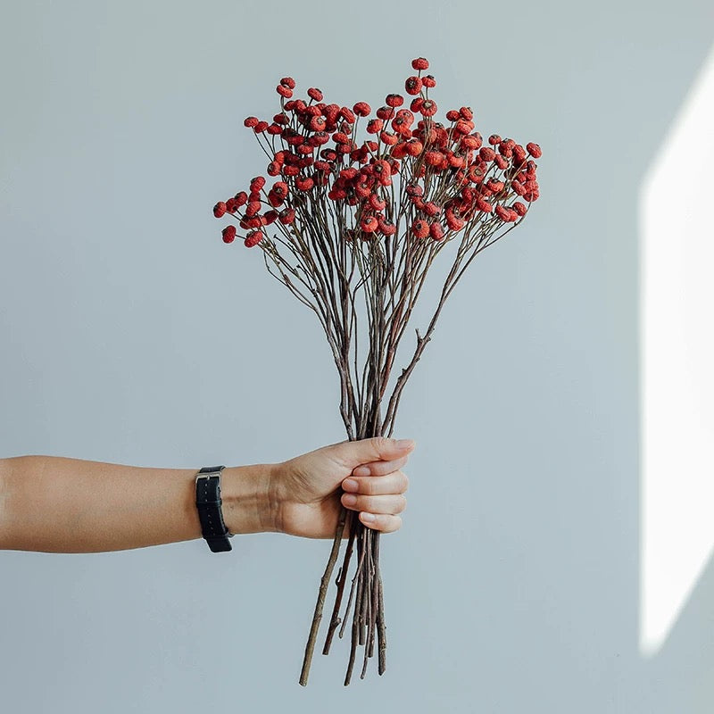 Dried rosehip flower