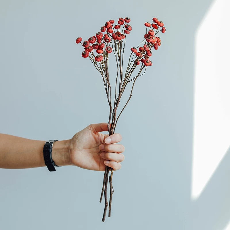 Dried rosehip flower