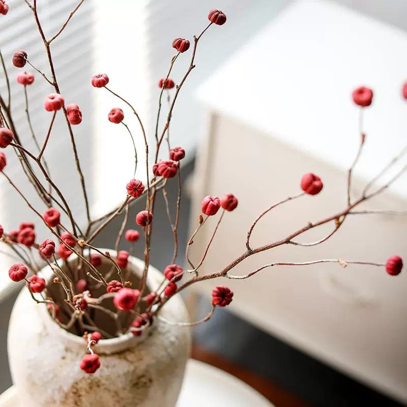 Mini Pumpkin Dry Branches