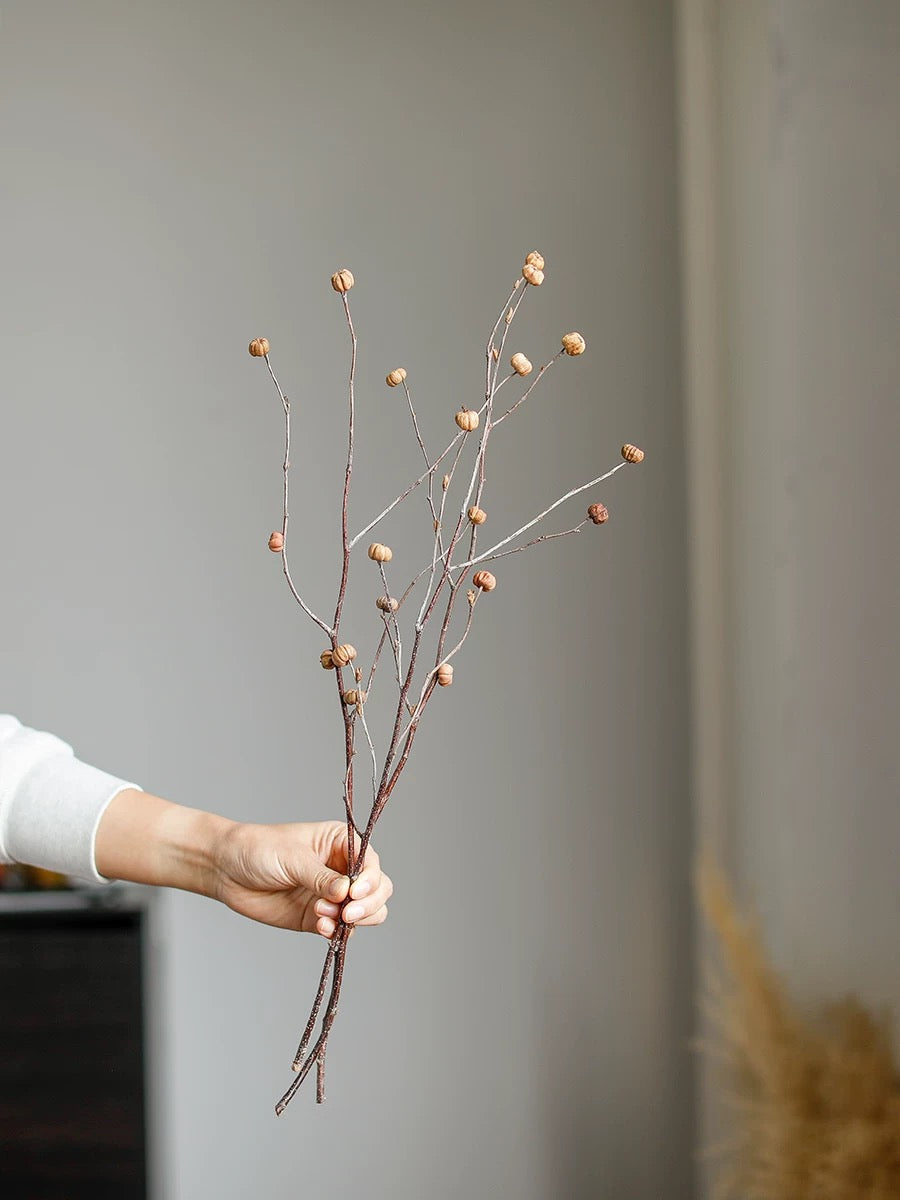 Mini Pumpkin Dry Branches