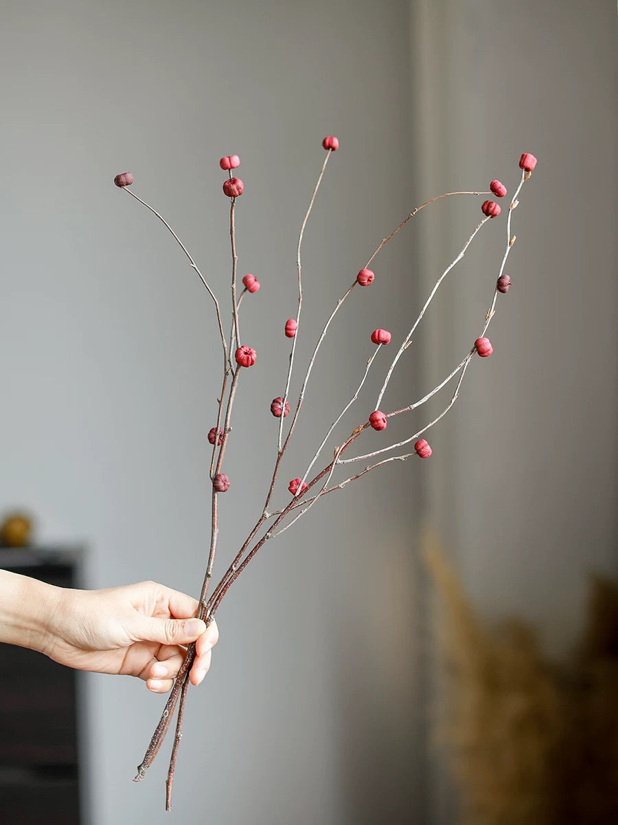 Mini Pumpkin Dry Branches