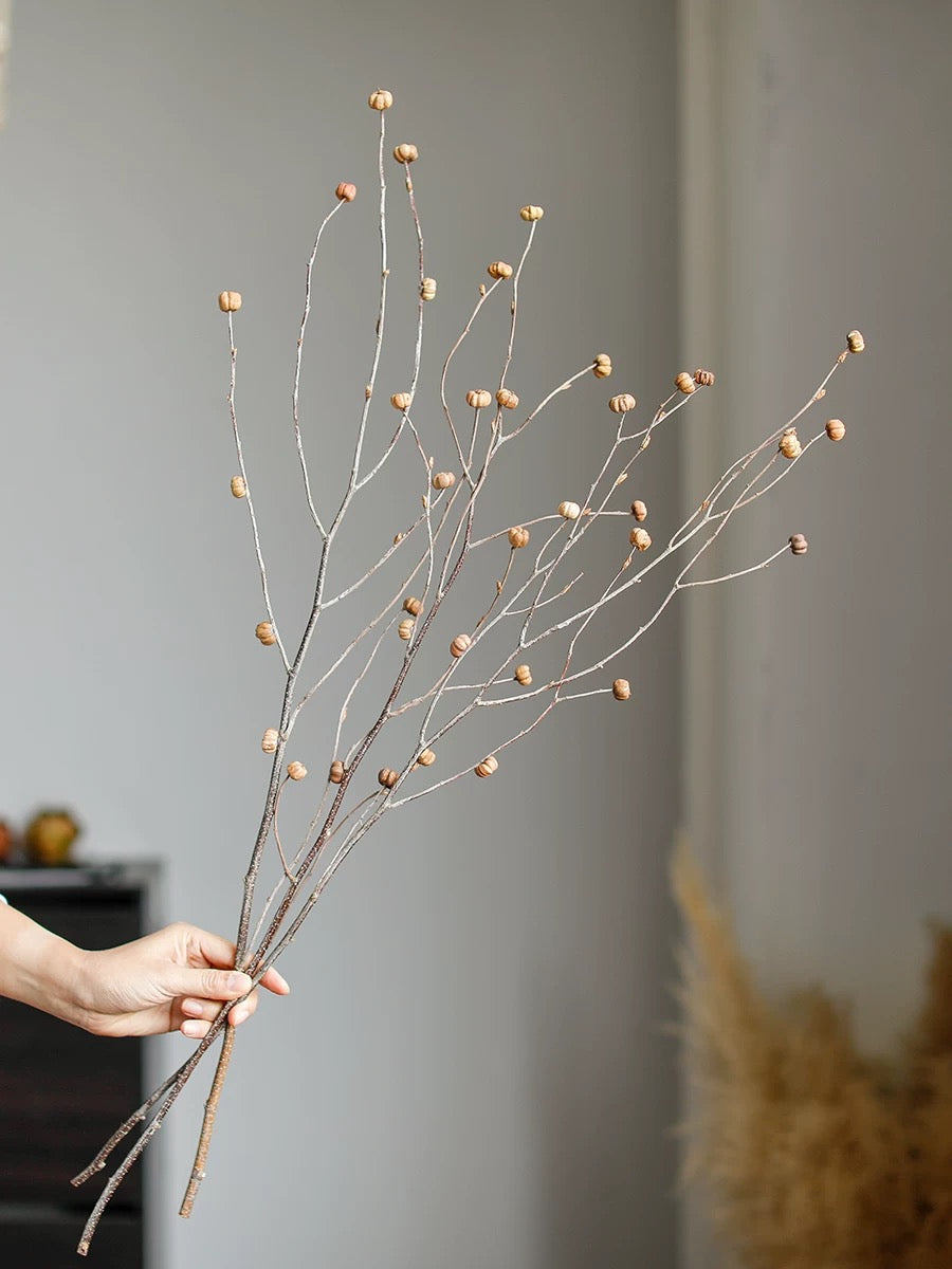 Mini Pumpkin Dry Branches