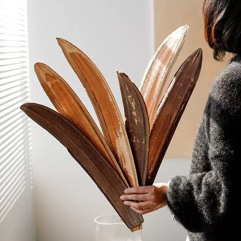 Dried woody capsule shells