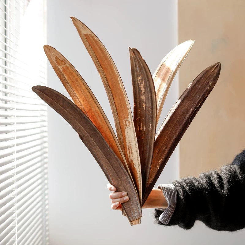 Dried woody capsule shells