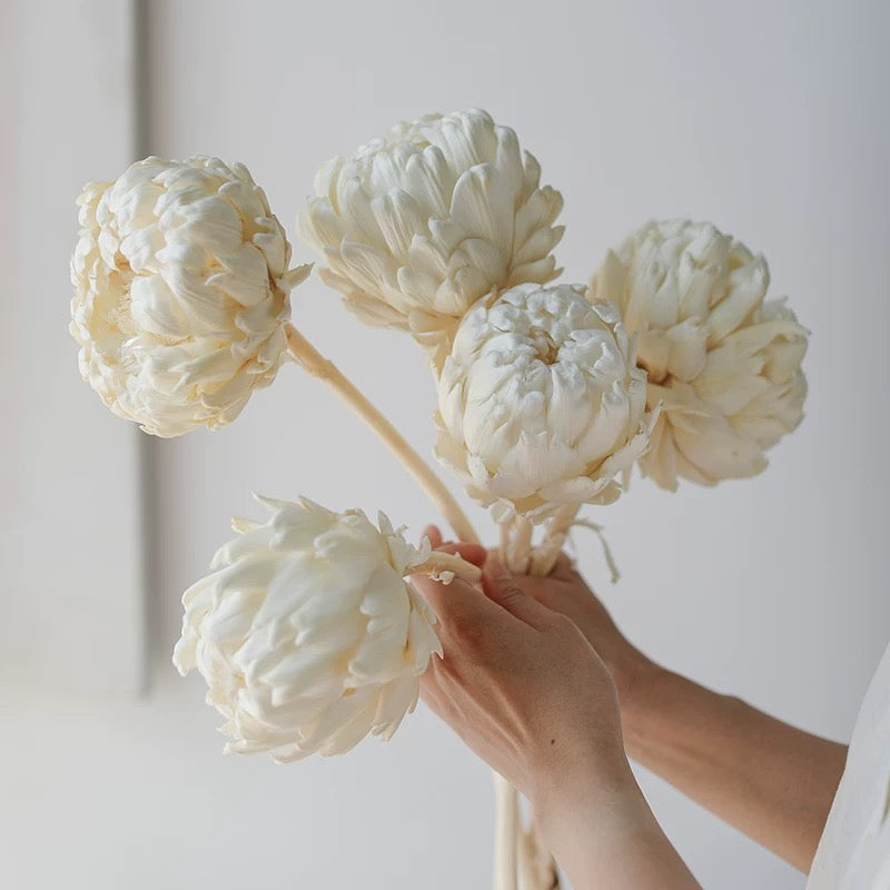 Dried White Sakura Fruit