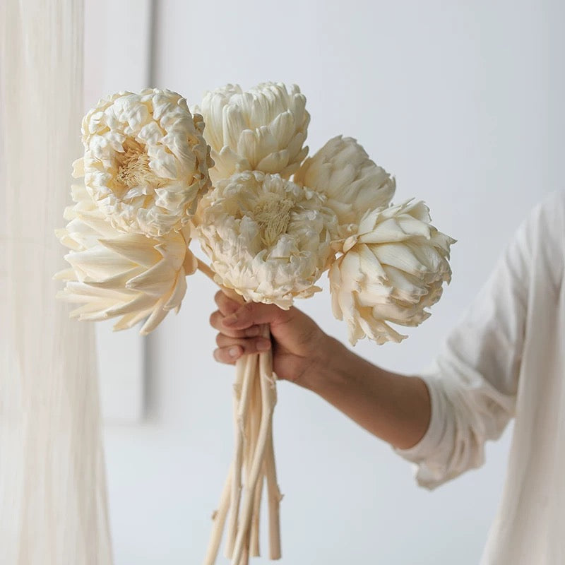 Dried White Sakura Fruit