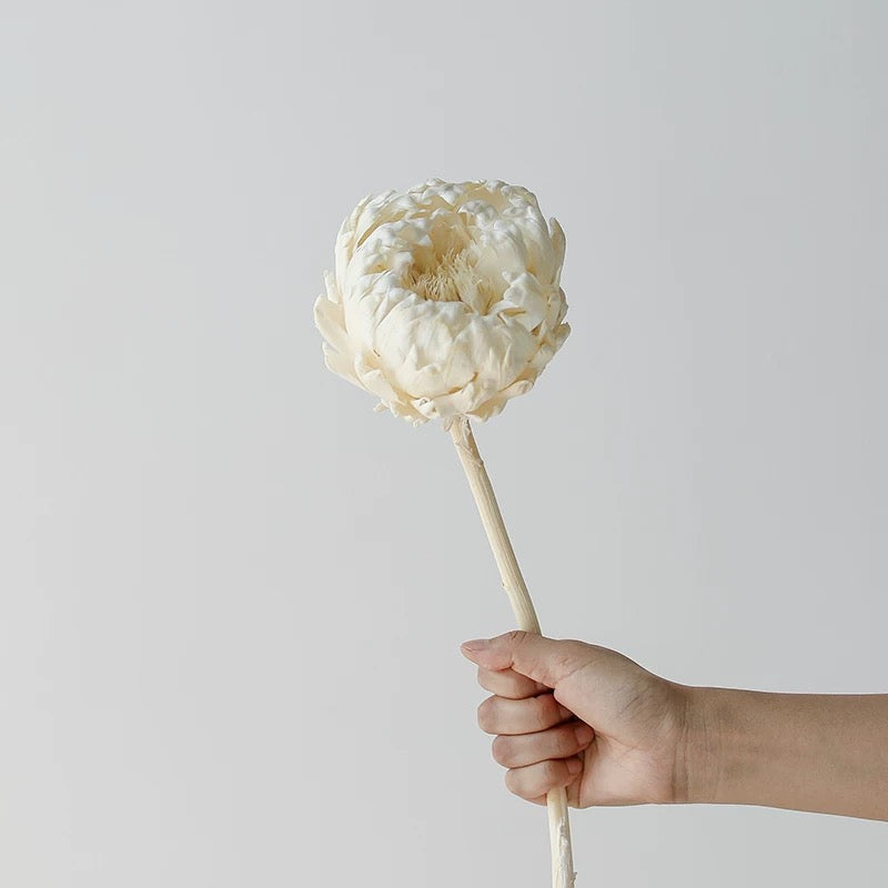 Dried White Sakura Fruit