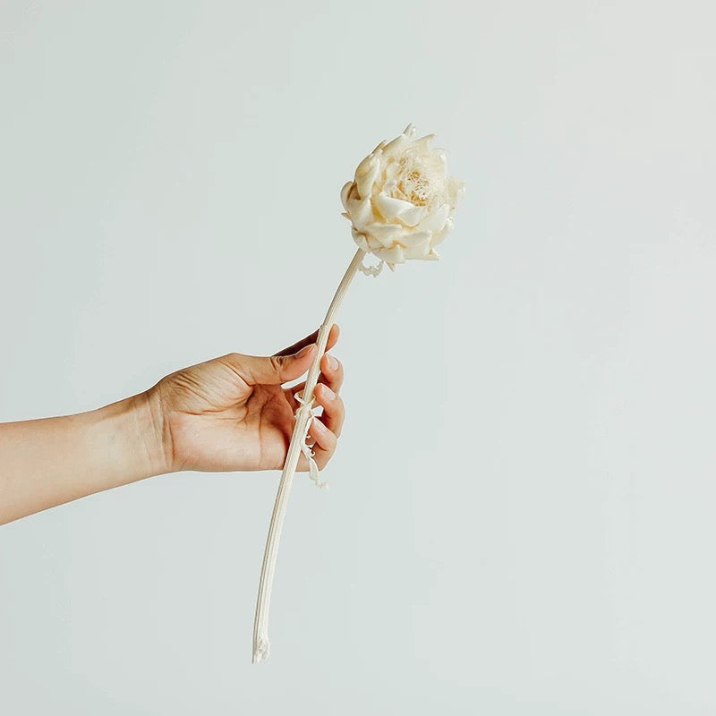 Dried White Sakura Fruit